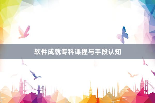 软件成就专科课程与手段认知